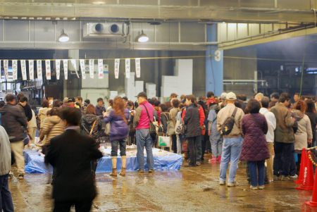 卸売市場の魚の展示