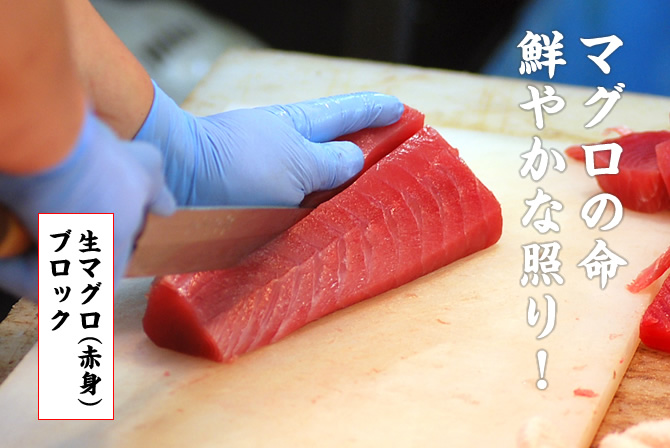 マグロの命 鮮やかな照り！生マグロ（赤身）ブロック