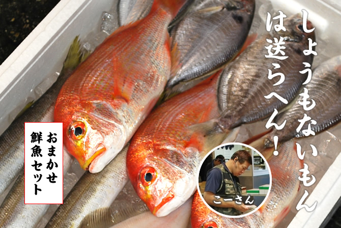 しょうもないもんは、送らへん！おまかせ鮮魚セット