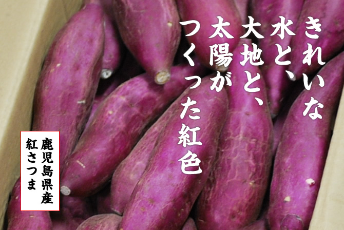 きれいな水と、大地と 太陽がつくった紅色。鹿児島県産紅さつま