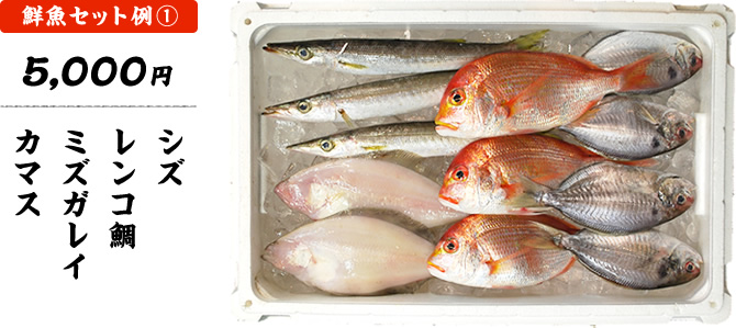 鮮魚セット1 5,000円