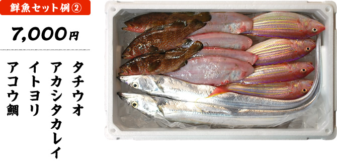 おまかせ鮮魚セット 7,000円