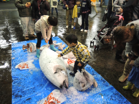 市場開放デー マグロの解体