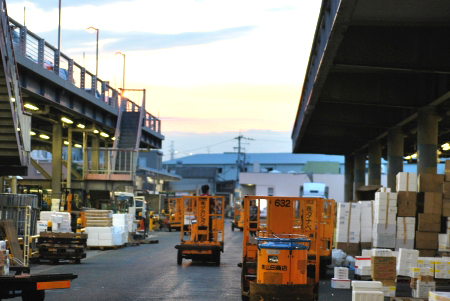 中央卸売市場