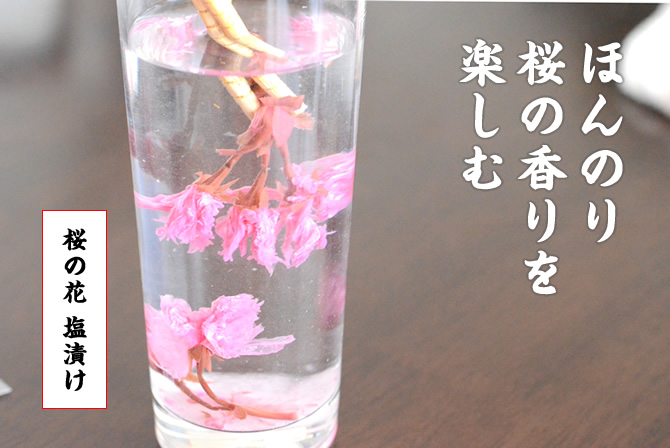 桜の花塩漬け