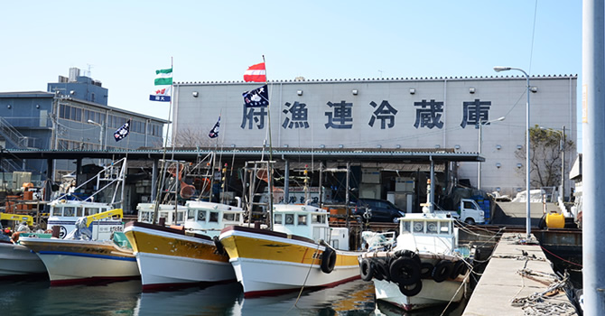 岸和田漁港。府漁連冷蔵庫