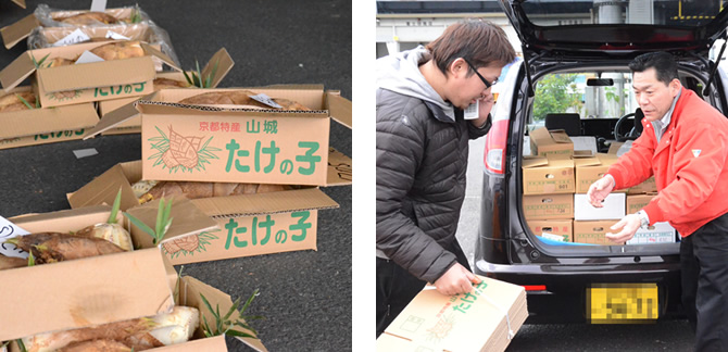 たけのこの出荷風景