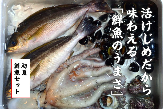 活けじめだから 味わえる 「鮮魚のうまさ」