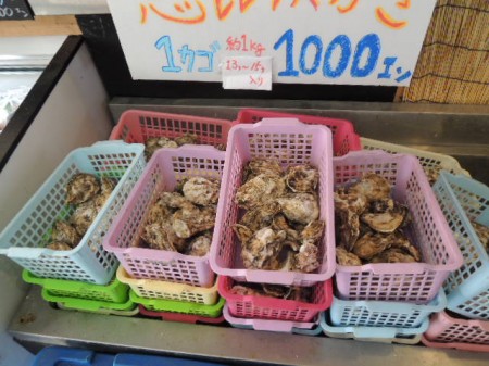 メインの牡蠣はかご一杯（１５～１６個）で千円