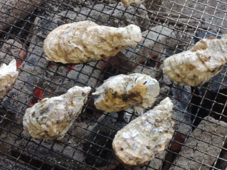 牡蠣は焼くと貝殻がバーンとはじけて開くので、まとめて焼くことに・・・