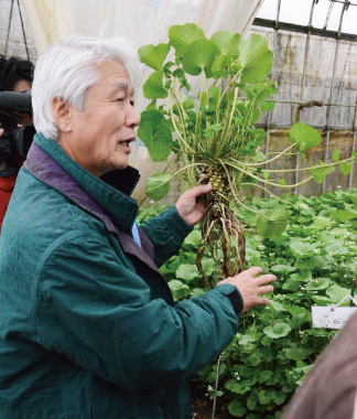 山形　わさび