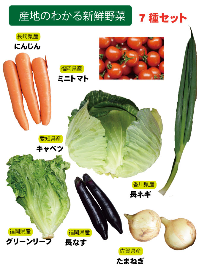 産地のわかる野菜セット