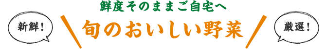 鮮度そのままご自宅へ 旬のおいしい野菜