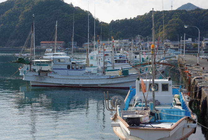 漁港　徳島県