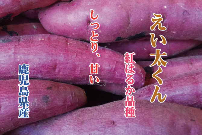 えい太くん さつまいも 鹿児島県産｜大阪府中央卸売市場 ネットショップ｜野菜・果物・鮮魚・・・市場の食材をご家庭に。目利きのプロが選ぶ高品質の食材