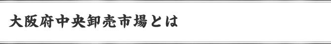 大阪府中央卸売市場とは