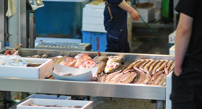 はまじま水産の鮮魚